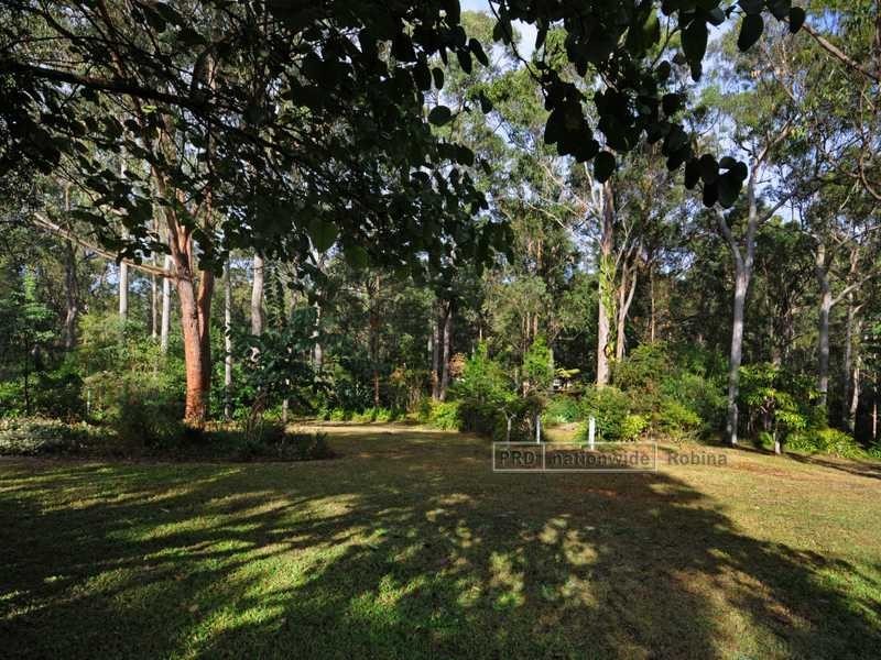 15 William Hollindale Court, Worongary QLD 4213