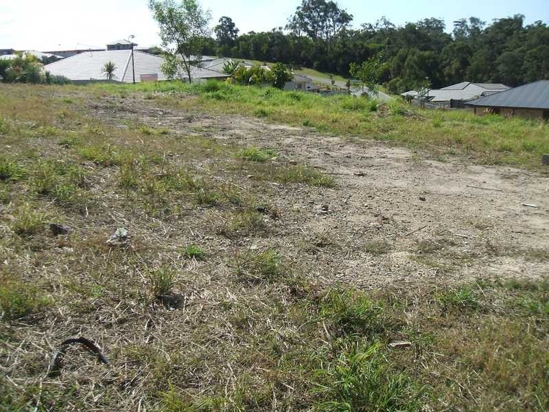 20 Snowwood Street, Reedy Creek QLD 4227