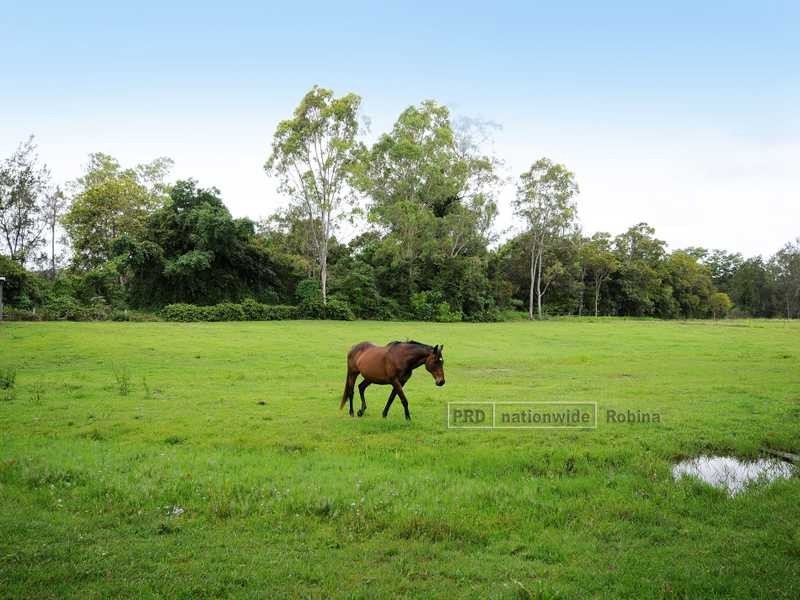 264 Birds Road, Guanaba QLD 4210