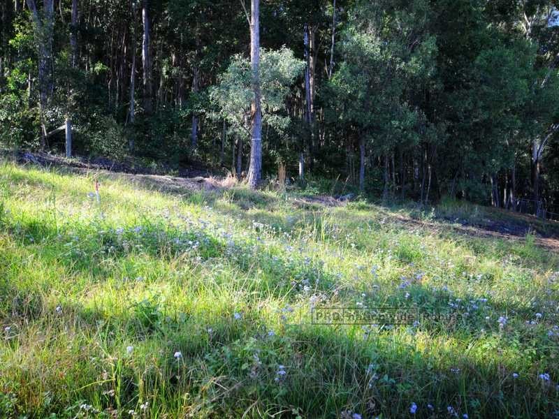 46 Wyangan Valley Way, Mudgeeraba QLD 4213