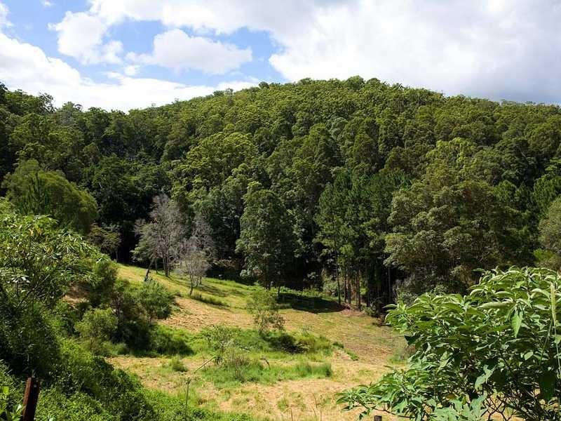 48 Nancol Drive, Tallebudgera Valley QLD 4228