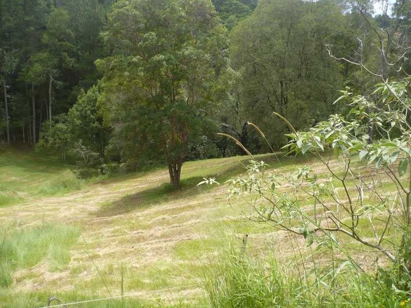 48 Nancol Drive, Tallebudgera Valley QLD 4228