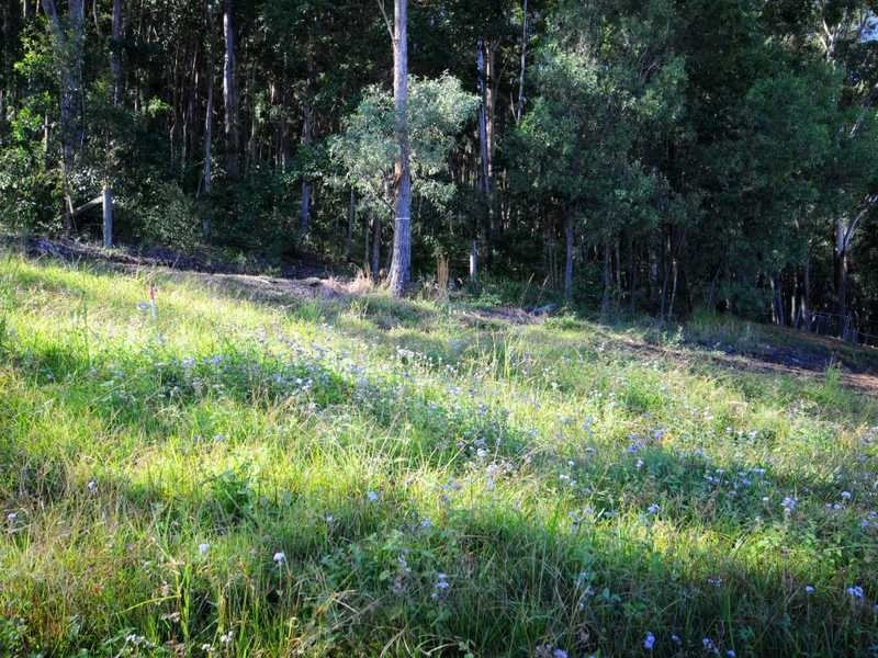 46 Wyangan Valley Way, Mudgeeraba QLD 4213