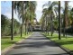 LOT 1 145 Palm Meadows Drive, Carrara QLD 4211