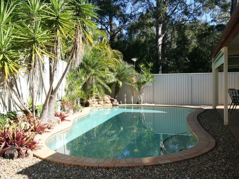 19 Fiddlewood Place, Reedy Creek QLD 4227