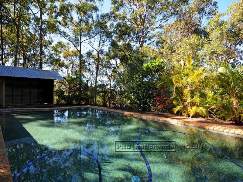 41 Castle Hill Drive, Gaven QLD 4211