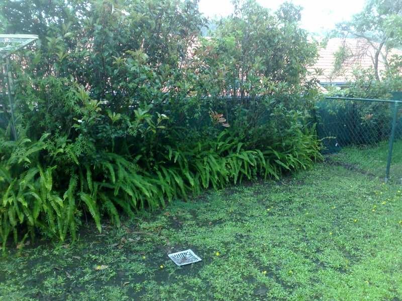 Unit 89/1 Ridgevista Court, Reedy Creek QLD 4227