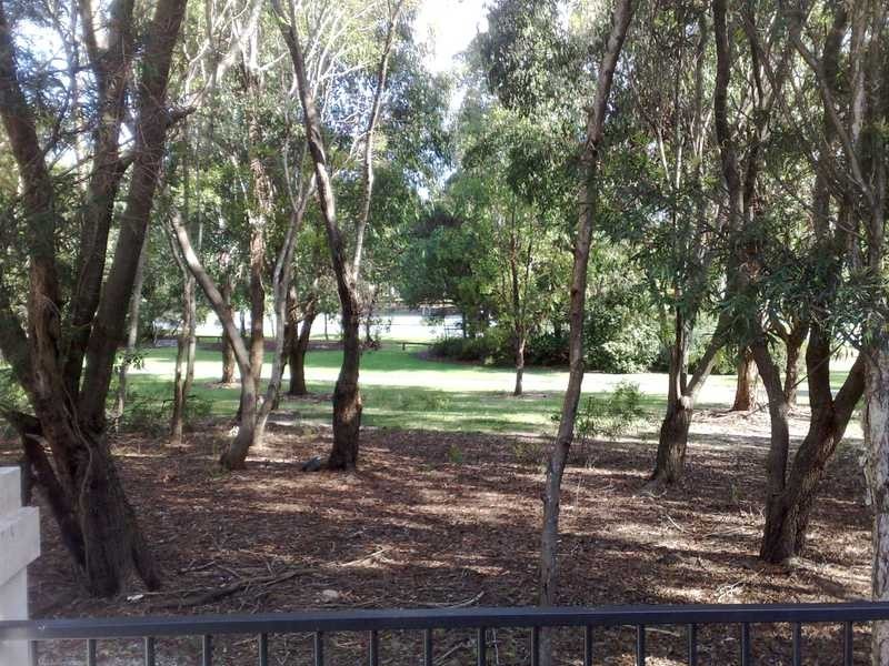 11 Cedarwood Crescent, Robina QLD 4226