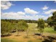 142 Easthill Drive, Robina QLD 4226