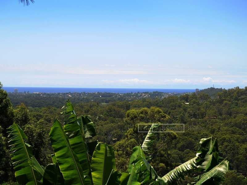 43 Plaza Street, Tallebudgera QLD 4228