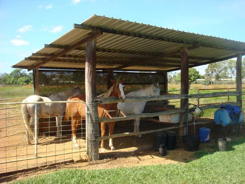 297 Ray Road, Mareeba QLD 4880