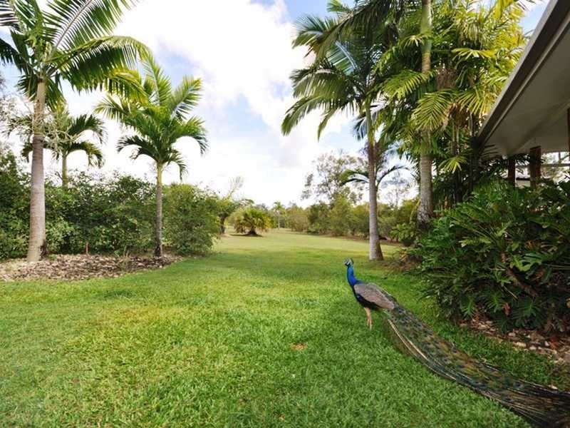 167 Orchid Close, Biboohra QLD 4880