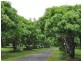 3760 Kennedy Highway, Mareeba QLD 4880