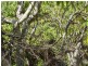 3760 Kennedy Highway, Mareeba QLD 4880