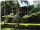14 Bangalow Place, Kuranda QLD 4881