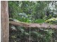 14 Bangalow Place, Kuranda QLD 4881