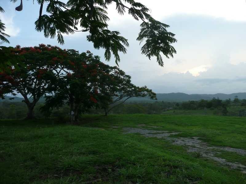 4 Santowski Crescent, Mount Molloy QLD 4871