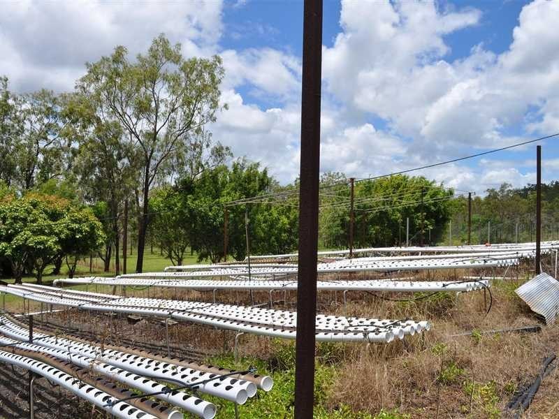 81 Orchid Close, Biboohra QLD 4880