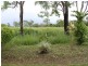 14 Maria Close, Mareeba QLD 4880