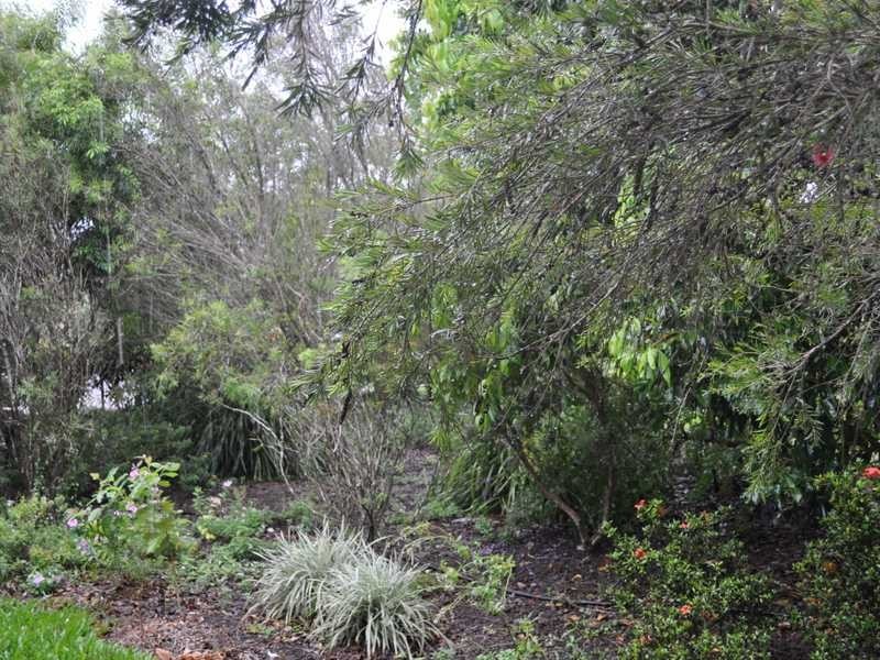 116 Mcgrath Road, Mareeba QLD 4880