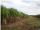 Mareeba QLD 4880