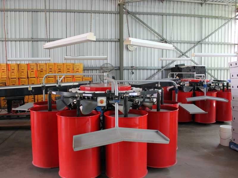 99 Leonardi Rd, Mareeba QLD 4880