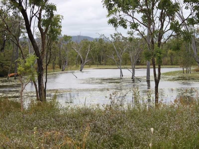 258 Braund Road, Dimbulah QLD 4872