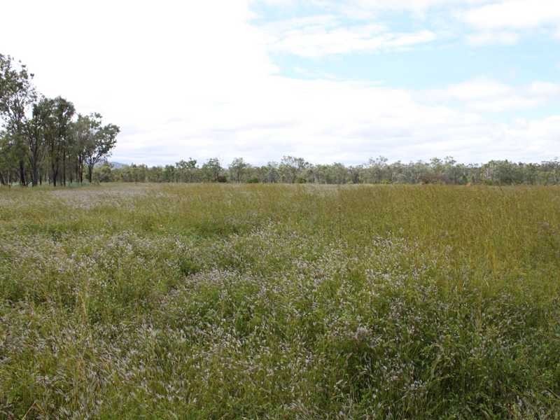 258 Braund Road, Dimbulah QLD 4872