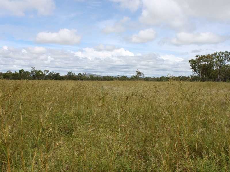 258 Braund Road, Dimbulah QLD 4872