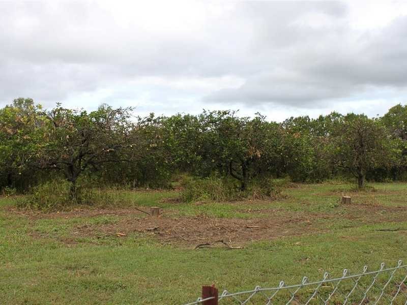 439 Ray Rd, Mareeba QLD 4880