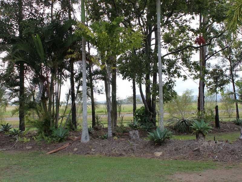 439 Ray Rd, Mareeba QLD 4880