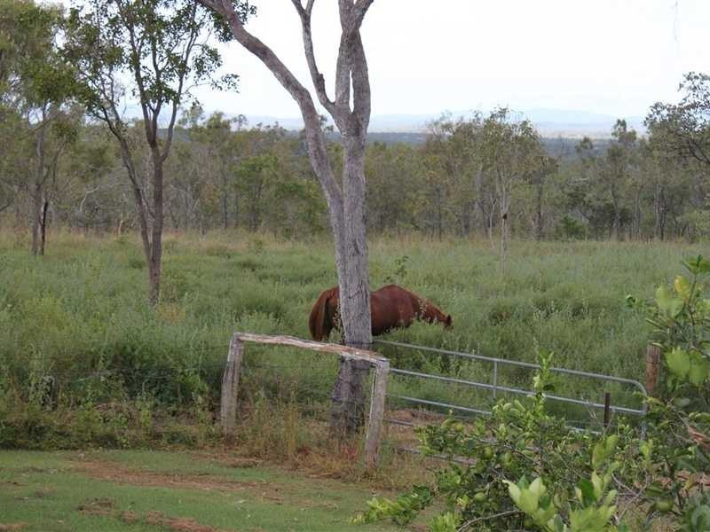 25 Harrigan Rd, Mareeba QLD 4880