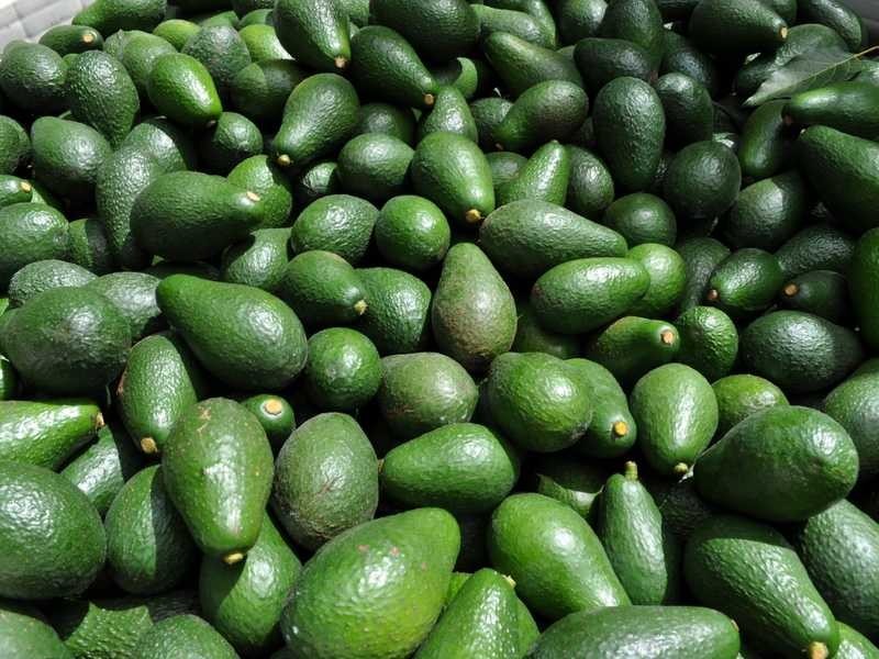 1509 Chewko Road, Walkamin QLD 4872