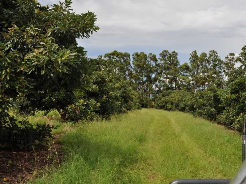 1509 Chewko Road, Walkamin QLD 4872