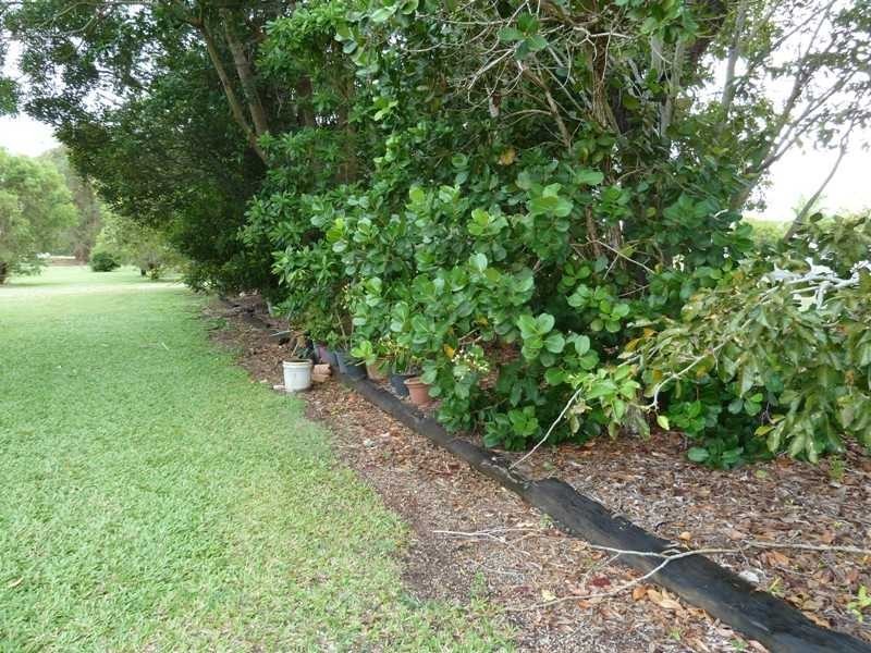 118 Coolaman Close, Mareeba QLD 4880