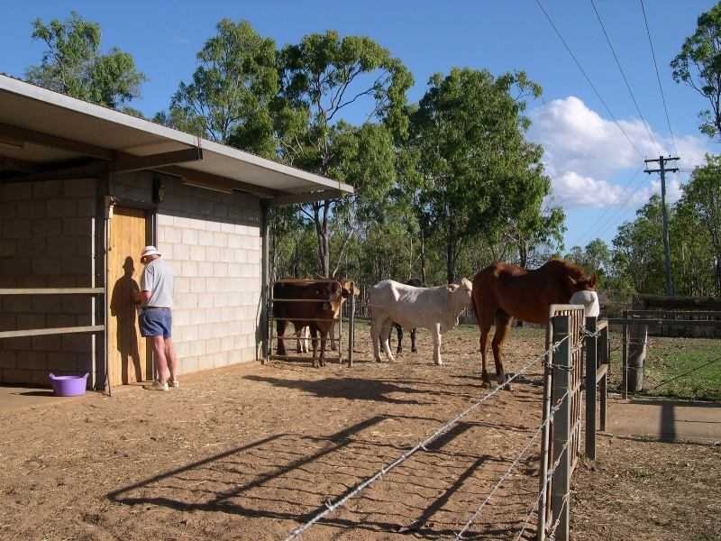 591 Bilwon Rd, Mareeba QLD 4880