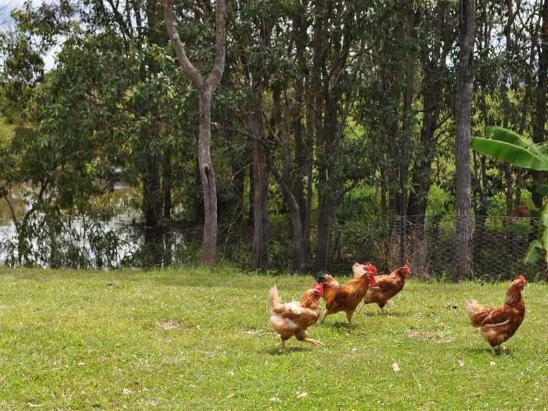 57 Cyress Road, Biboohra QLD 4880