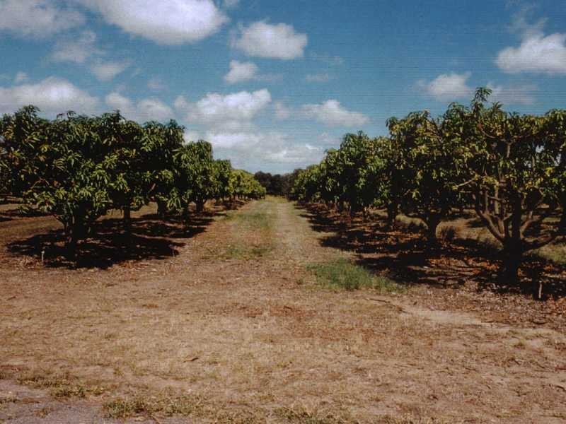 106 Wright Road, Mareeba QLD 4880