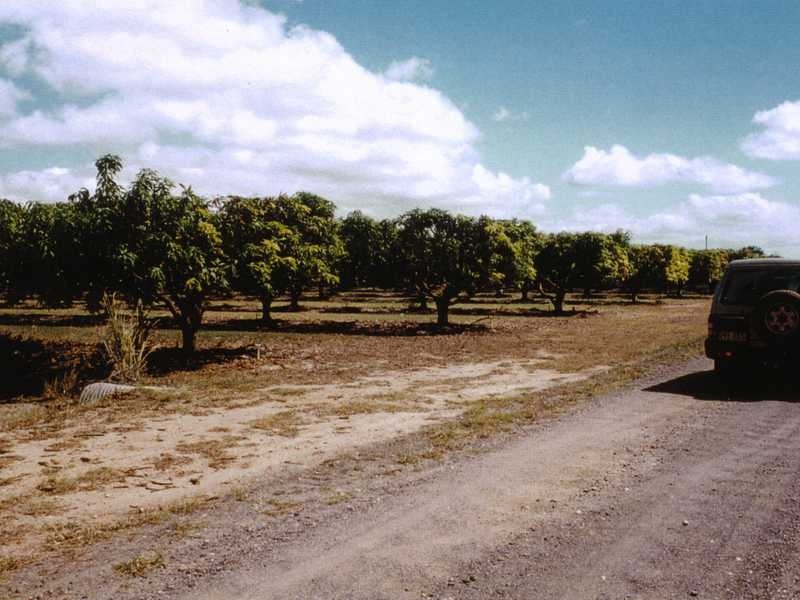 106 Wright Road, Mareeba QLD 4880