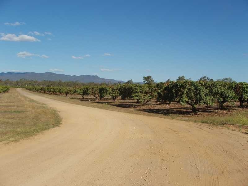 106 Wright Road, Mareeba QLD 4880