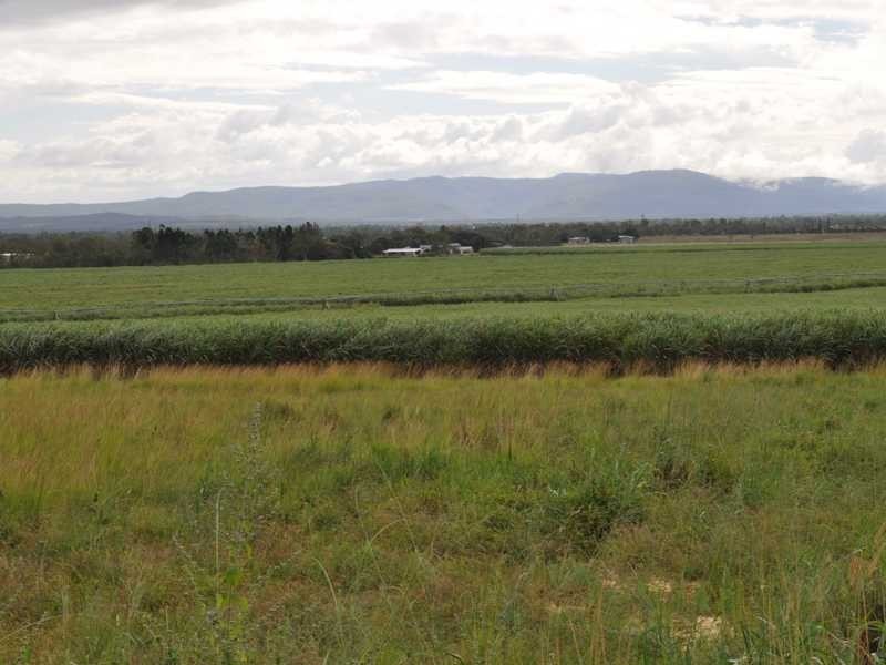 Cobra Road, Mareeba QLD 4880