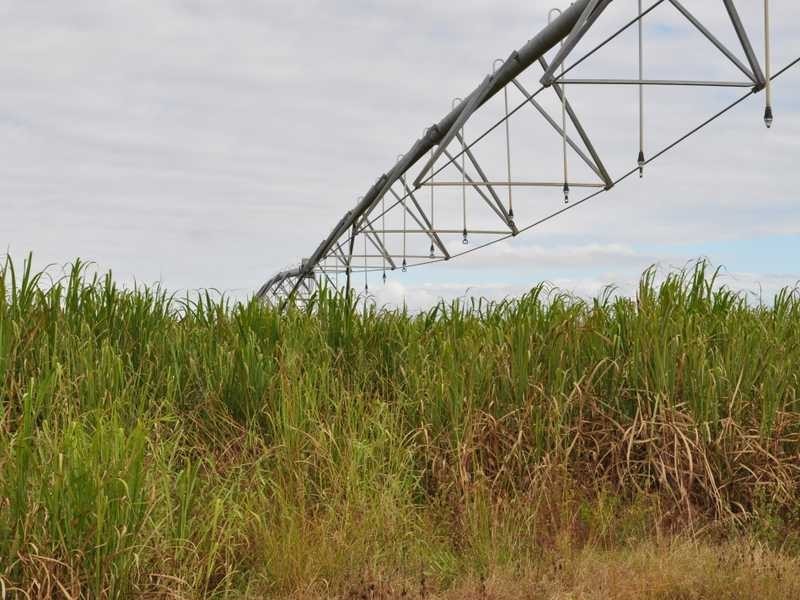 Cobra Road, Mareeba QLD 4880