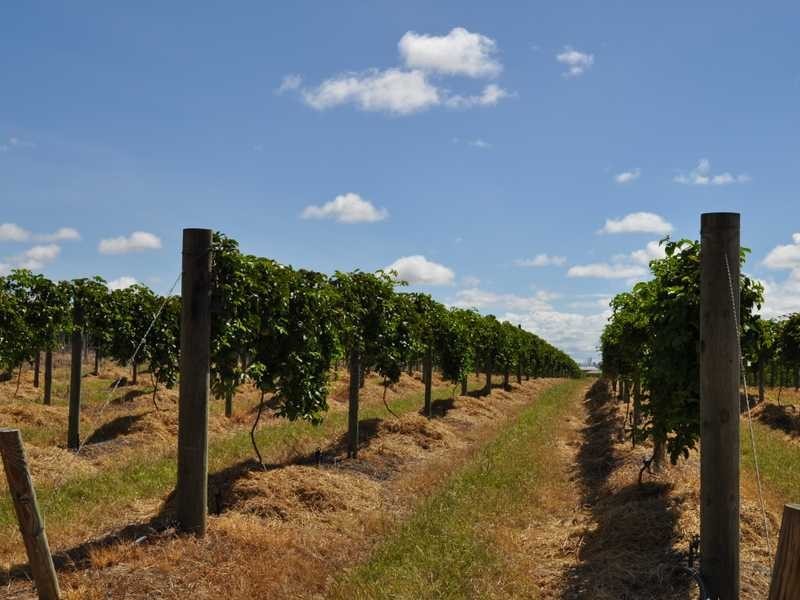 Mareeba – Dimbulah Road, Mareeba QLD 4880