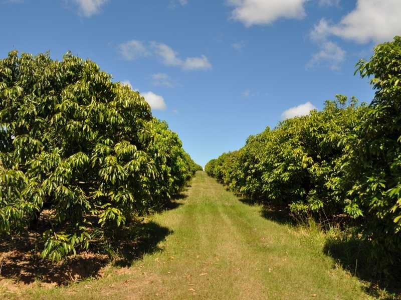 Mareeba – Dimbulah Road, Mareeba QLD 4880