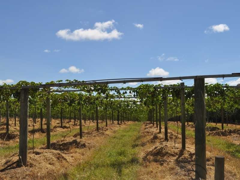 Mareeba – Dimbulah Road, Mareeba QLD 4880