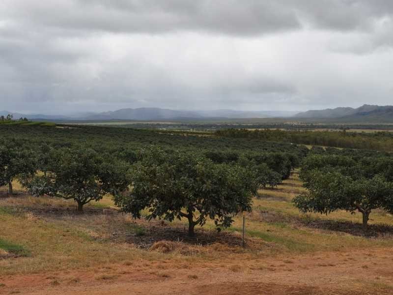 532 Mutchilba Road, Mutchilba QLD 4872