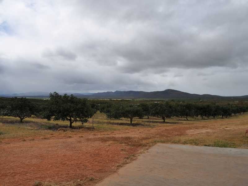 532 Mutchilba Road, Mutchilba QLD 4872