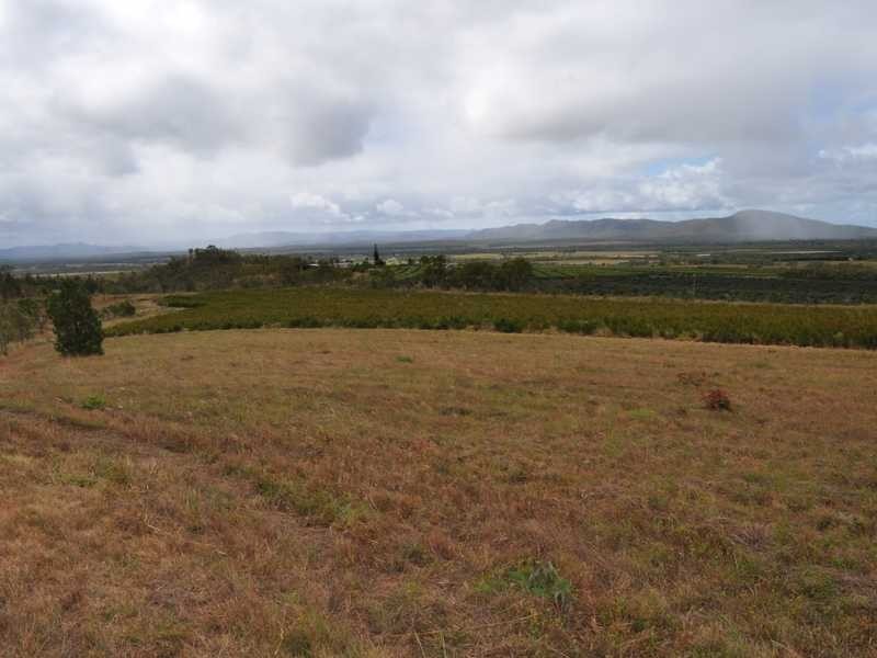 532 Mutchilba Road, Mutchilba QLD 4872