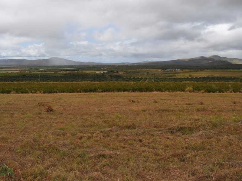 532 Mutchilba Road, Mutchilba QLD 4872