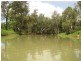 264 Eureka Creek Road, Dimbulah QLD 4872